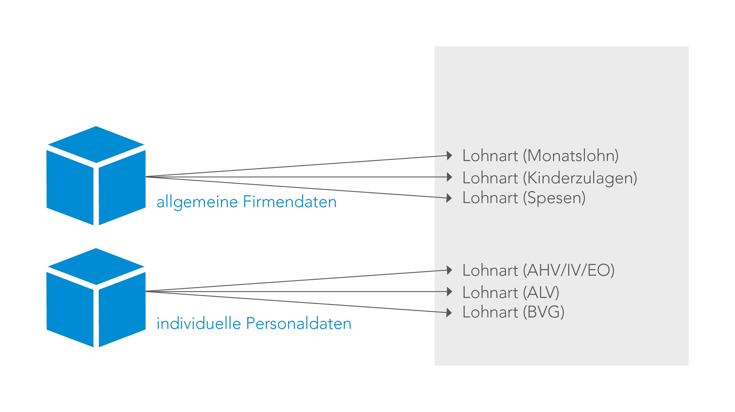Unterschied zwischen individuelle und allgemeine Firmendaten