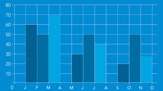 Graphique histogramme de l'année