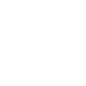 Gesamtloesung_Wuerfel_Icon_w