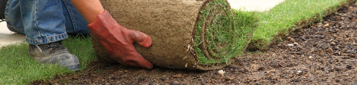 gartenbau.jpg