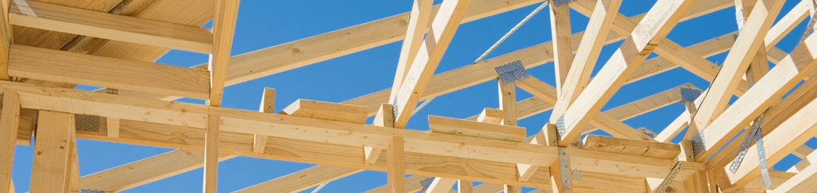 holzbau.jpg