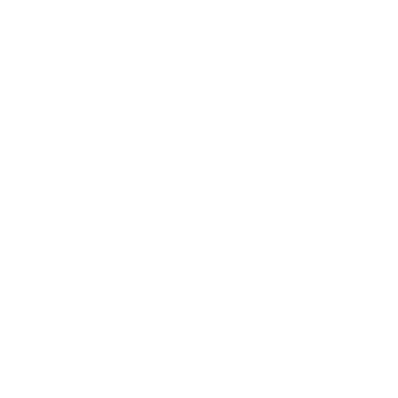 GPS_Icon_w